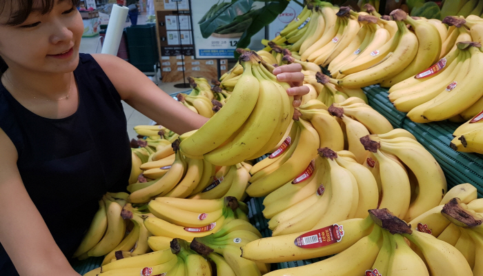 1인가구 증가, 고령화 등의 여파로 바나나 소비가 급증했다.[사진=뉴시스]