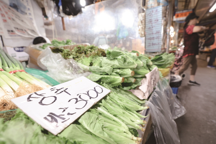 장마와 폭염으로 채소가격이 무섭게 치솟았다.[사진-연합뉴스]