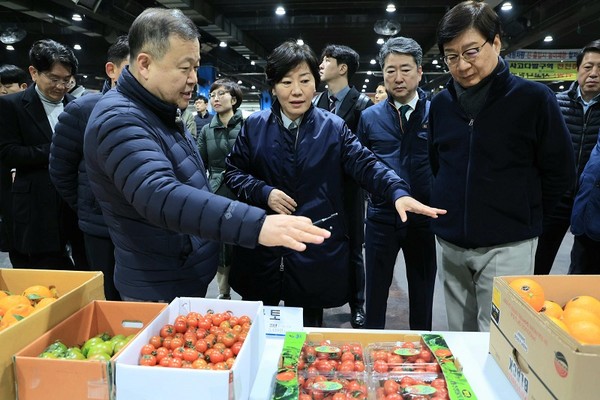 송미령 농림축산식품부 장관이 12일 서울 가락시장 과일 경매장에서 상품을 살펴보고 있다. [사진=뉴시스]