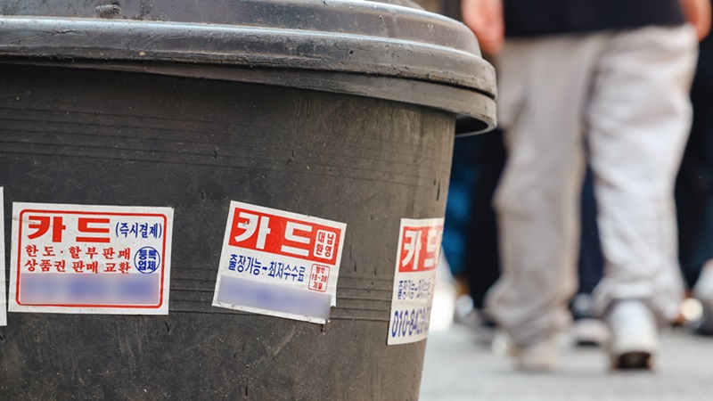 이자율이 높은 카드론 대출 잔액이 가파르게 증가하고 있다.[사진=뉴시스] 