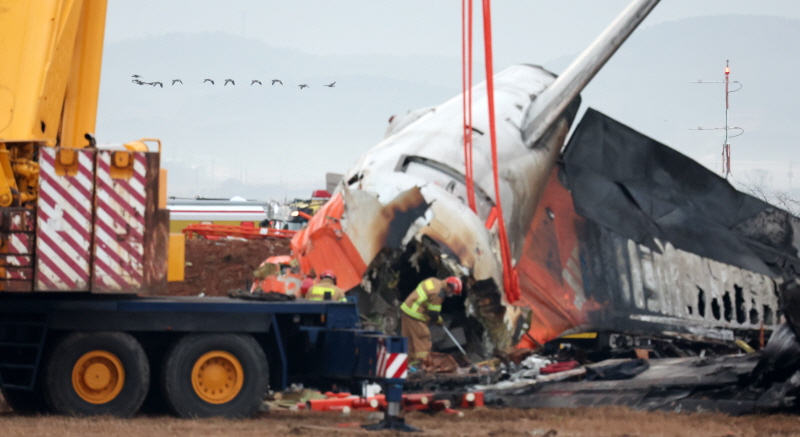 부실한 조류 충돌 관리 시스템이 화를 키웠다는 비판이 일고 있다.[사진｜뉴시스]