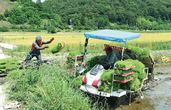 공익직불금의 일부 내용을 개편했지만, 맹점은 여전히 남아 있다.[사진｜뉴시스] 