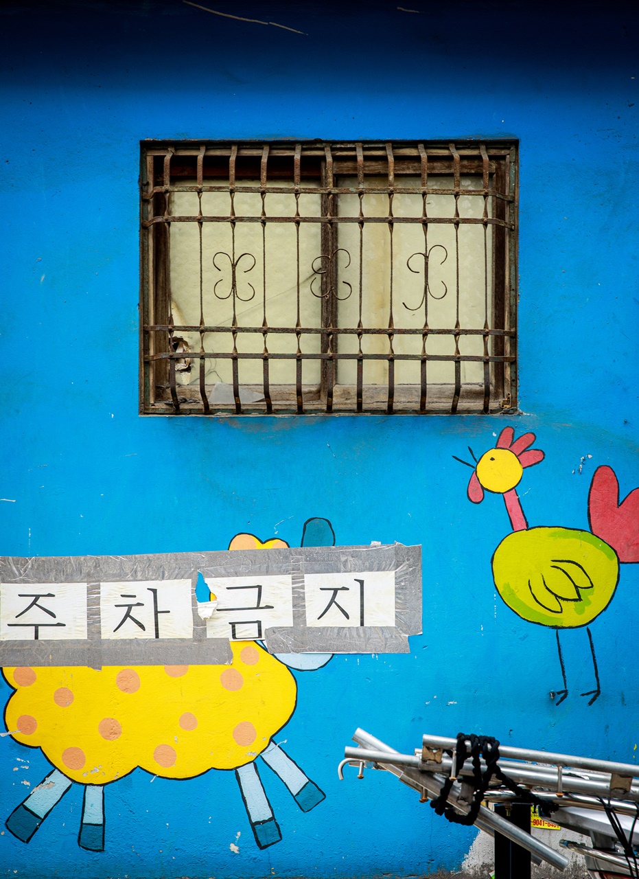 세월에 의해 휘어져버린 모습마저 멋스럽다. [사진 | 오상민 작가]