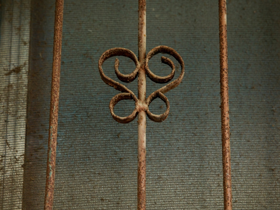 파란 하늘에 나비를 날리는 상상을 해본다. [사진 | 오상민 작가]