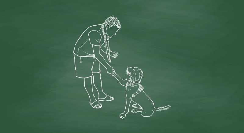 반려동물 행동지도사는 새로운 시장을 창출하는 데 기여했다. [사진｜게티이미지뱅크]