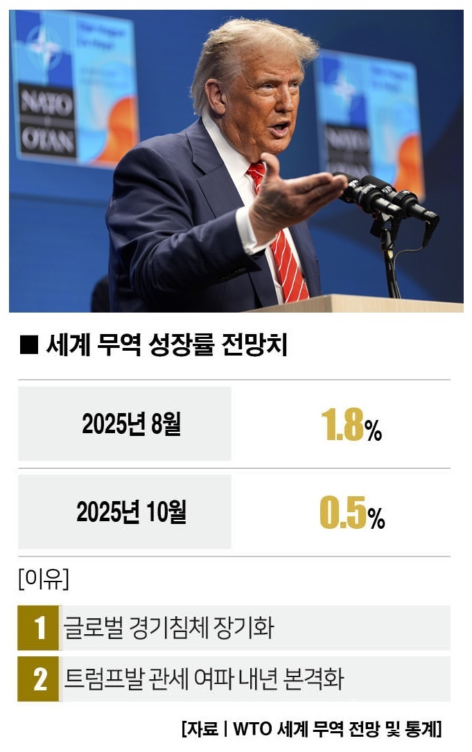 [사진 | 뉴시스]