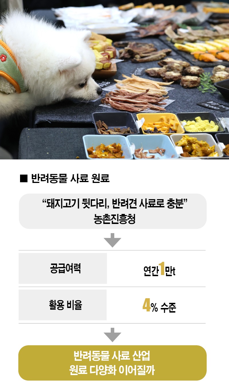 [사진 | 게티이미지뱅크]