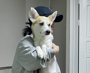 한국심리상담과학연구소 이미지