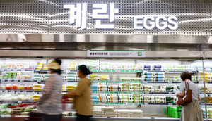 주식회사 미래입찰연구소 이미지