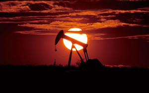 OPEC 탈퇴하는 UAE, 석유 시장의 '메뚜기' 될까?